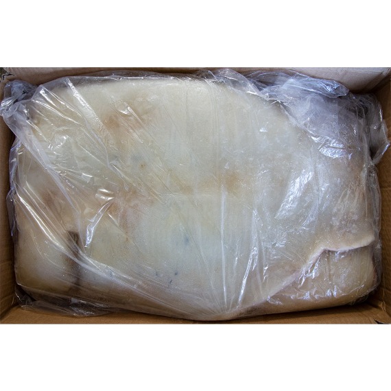 [씨엔푸드/중국산] 오징어 몸통 1박스(10kg)